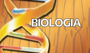 Biologia para o Ensino Médio – MEC